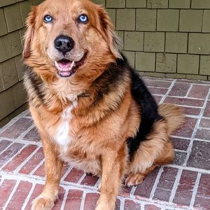 Meet your Posher, Alison